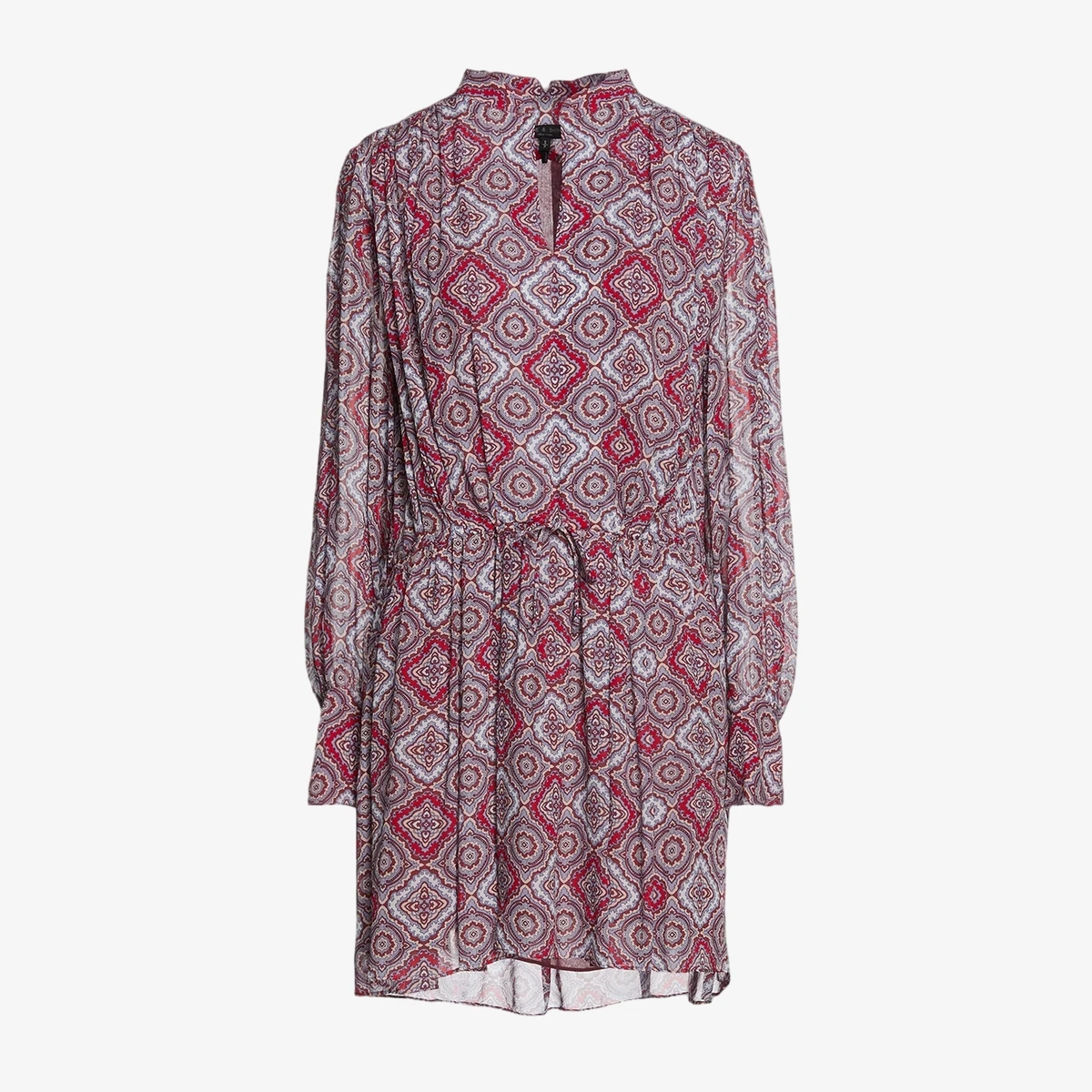 Rag & Bone Carly Pleated Printed Georgette Mini Dress in Red