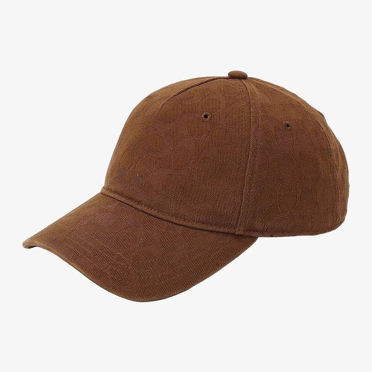Coach Tonal Cap in Brown